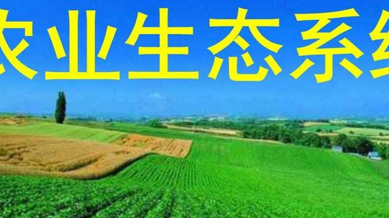 生鲜配送冷链加盟：揭秘加盟费用背后的考量因素