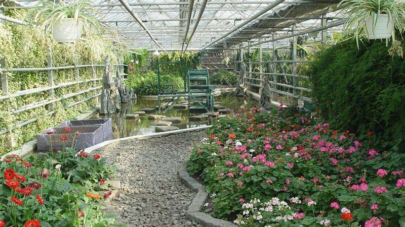 花生深加工设备优缺点
