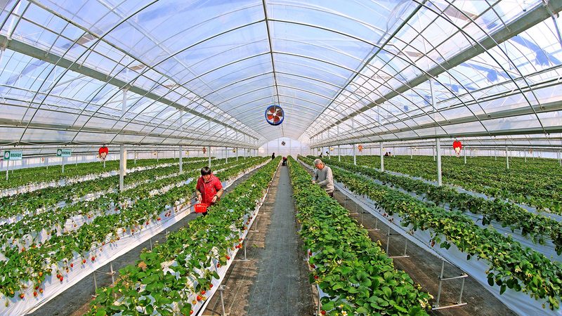 农业种植技术学习网站：如何选择优质平台助力种植效益提升