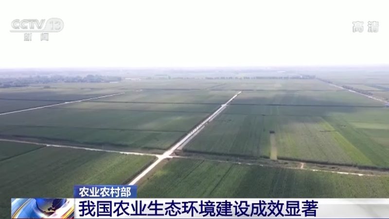 特色农业项目代理推荐