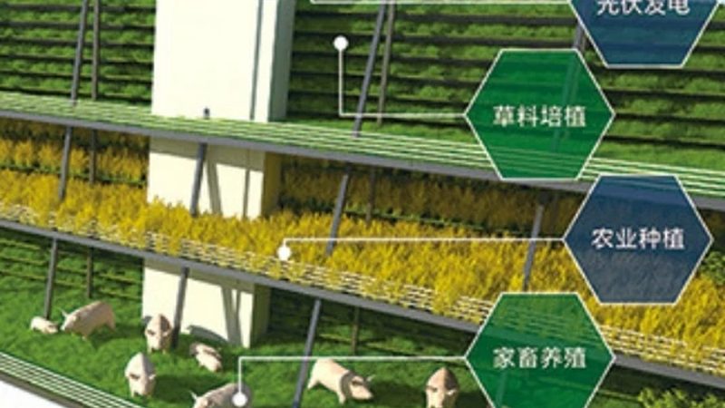 智慧农业种植系统定制方案：打造高效可持续的农田生态