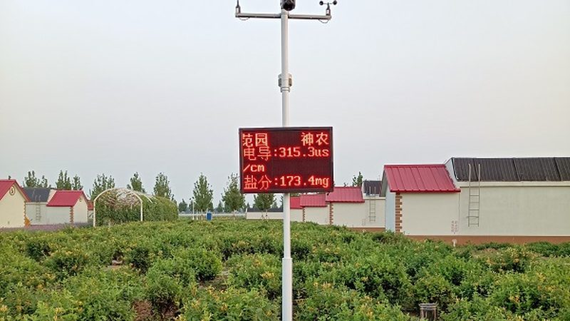 山东农资批发市场的优劣势分析