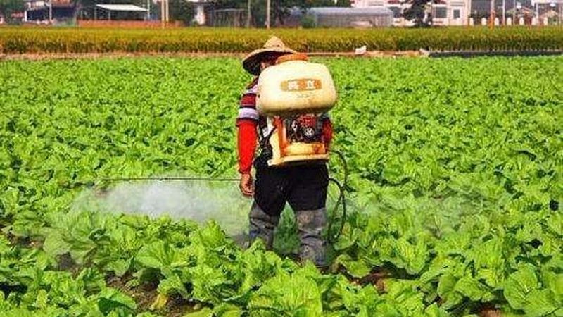 林下经济投资回报率的四个关键变量